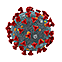 Novel Coronavirus (SARS-COV-2)