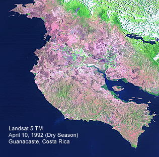 Bosque Tropical Seco de Costa Rica (Landsat Thematic Mapper)